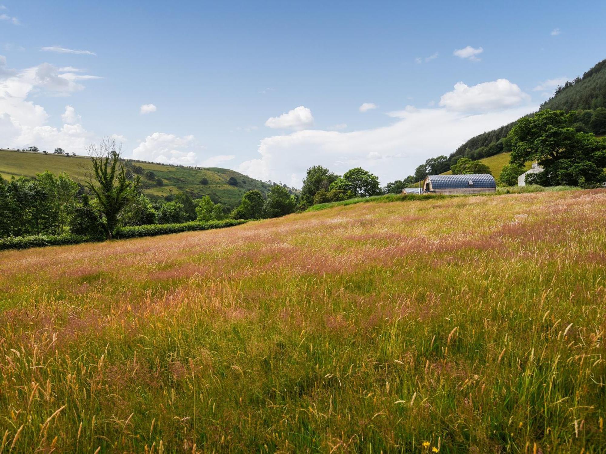 Barcud Coch - Uk44539 Villa Hirnant Dış mekan fotoğraf